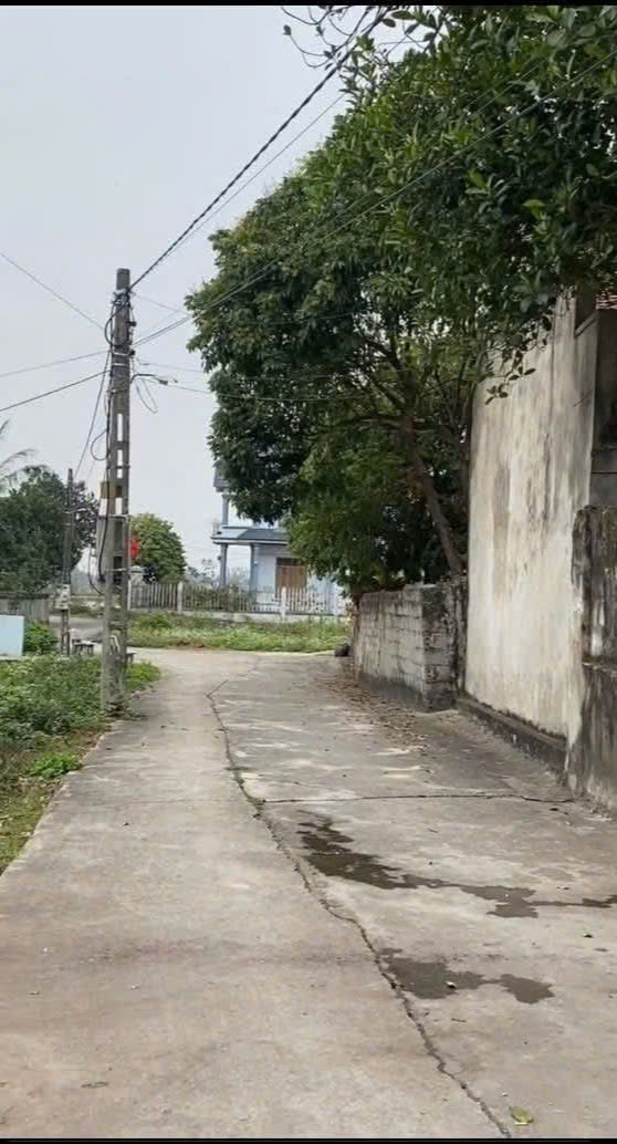 Lô đất vàng làng nghề Trống Đọi Tam - Tiên Sơn - Duy Tiên - Ảnh 2